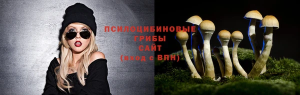 дурь Магас