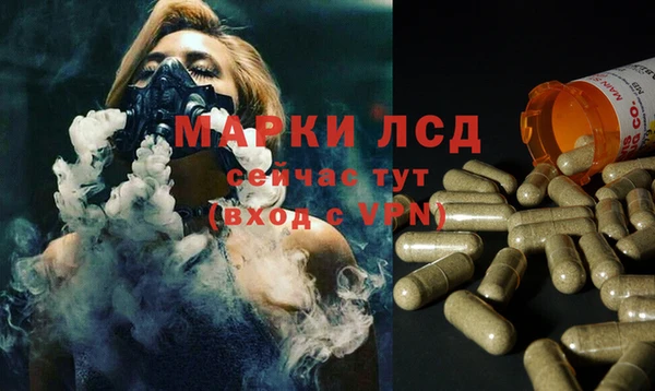 дурь Магас