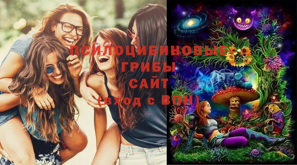бутират Майский