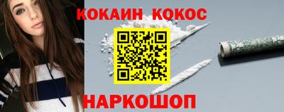 спиды Гай