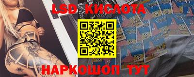 дмт Гагарин