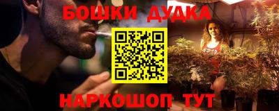 спиды Гай