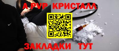спиды Гай