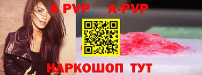 спиды Гай