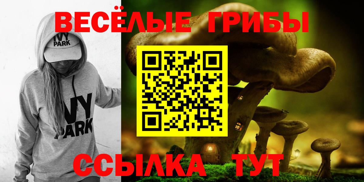 Нарткала  A PVP СК кристаллы  Вход с VPN  Гашиш  МЕТАМФЕТАМИН  Cocaine  Марихуана  МЕФ  