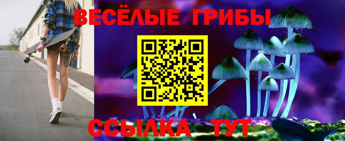 Галлюциногенные грибы Psilocybe  купить закладку  Нарткала  Вход с VPN  Галлюциногенные грибы мицелий 