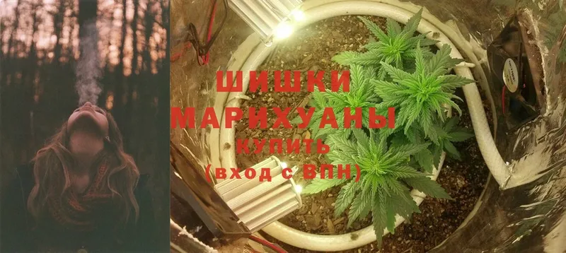 Шишки марихуана Ganja  Нарткала 